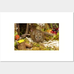 George the mouse in a log pile house Posters and Art